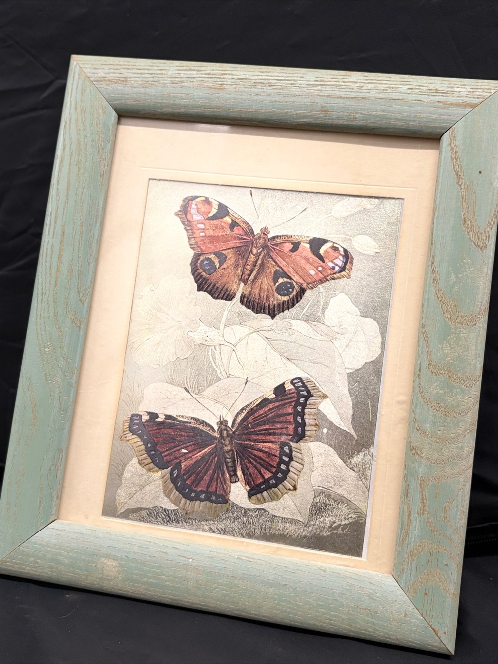 Framed Vintage Butterfly Art in Distressed Aqua Wood Frame